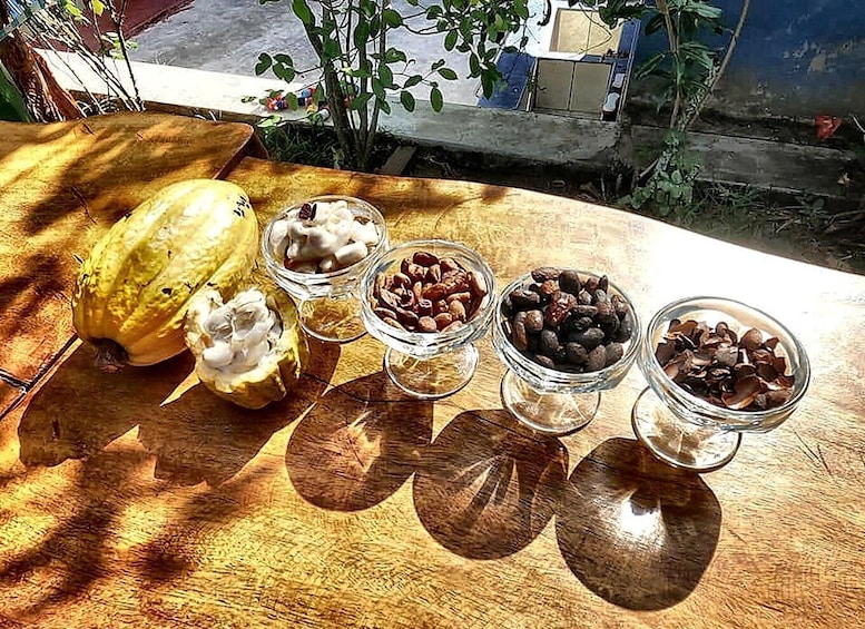A table with a pumpkin, whipped cream, and various nuts. 1