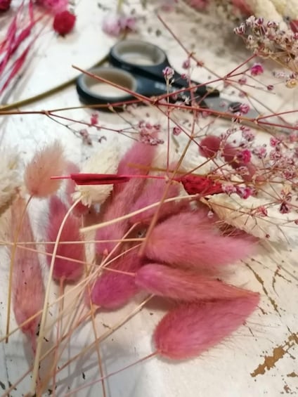 Dried pink and white flowers, a pair of scissors, and some small pink buds on a white surface. 3