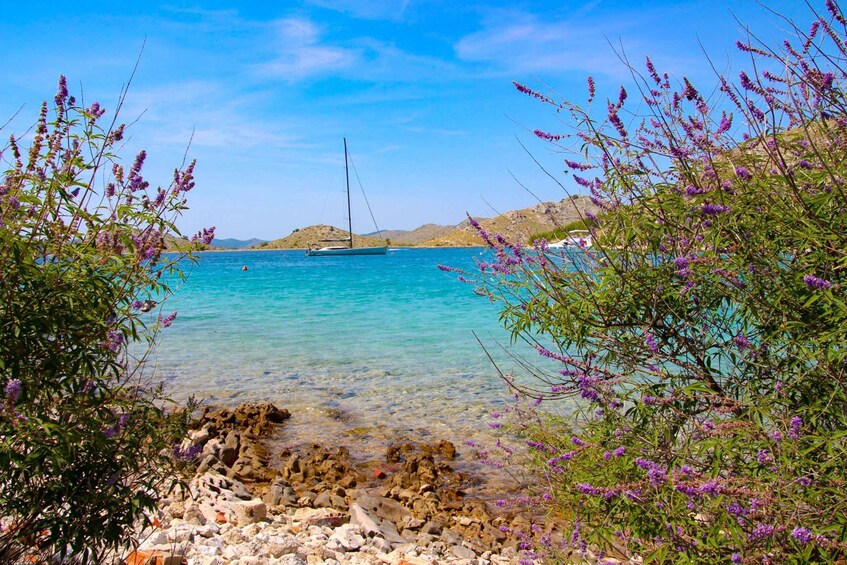 A clear turquoise sea with a sailboat anchored in the distance, rocky shore with purple flowers, and a mountainous backdrop. 3