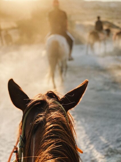 A horse's head with a blurred background of people riding horses. 3