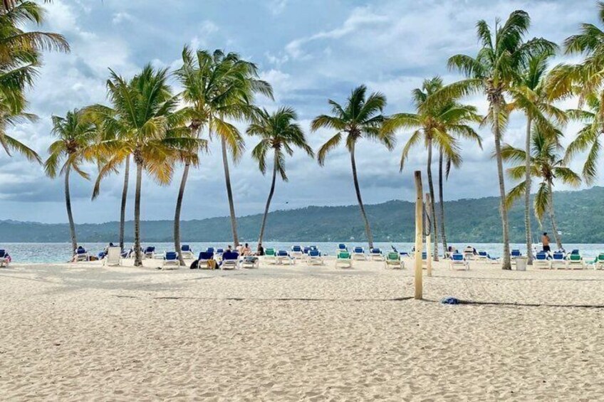 A beach with palm trees and lounge chairs. 4