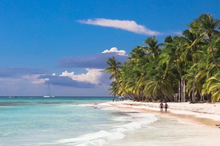 Saona Island Experience Full Tour from Punta Cana 5