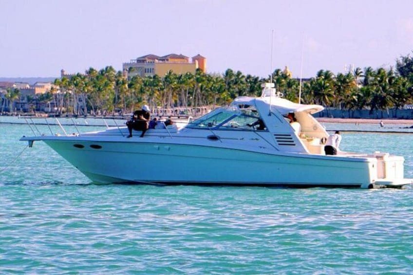 A white speedboat on turquoise water with a backdrop of palm trees and buildings. 2