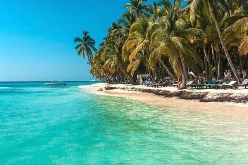 Saona Island Experience Full Tour from Punta Cana 4