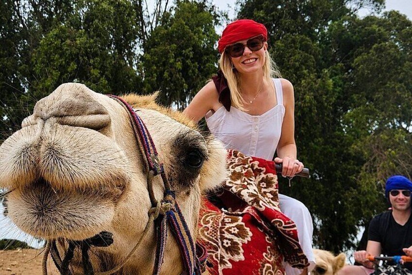A person riding a camel with a red and gold blanket. 1