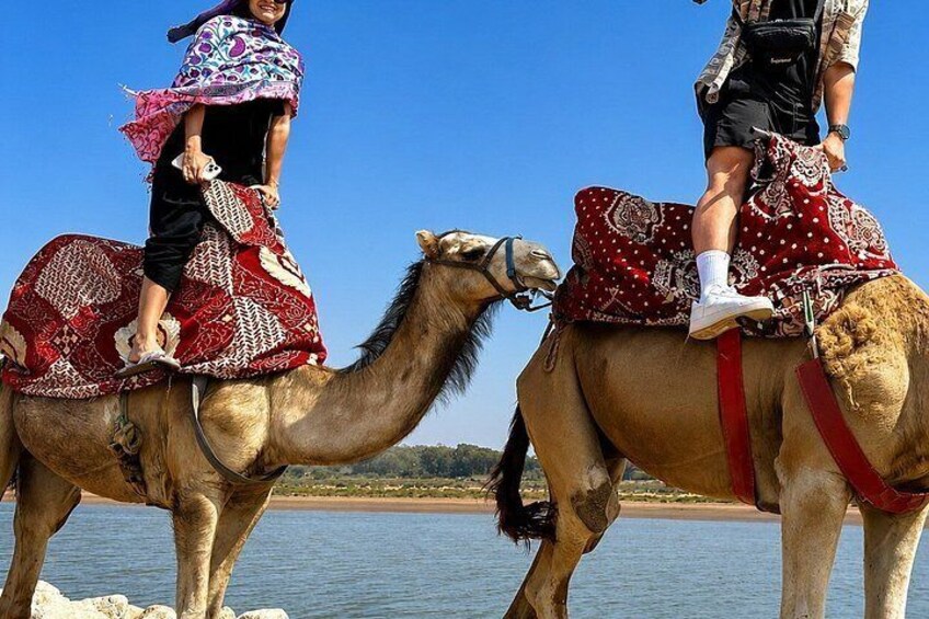 Two camels with riders, near a body of water and a beach. 3