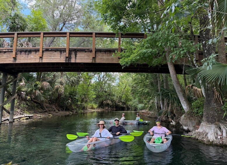 Picture 12 for Activity Silver Springs: Clear Kayak Rental with Wildlife Viewing 5