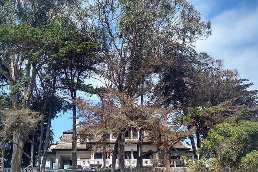 A building surrounded by tall trees. 2