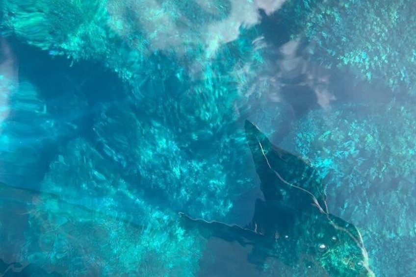 A satellite view of a coastal area with a prominent peninsula and surrounding water. 3
