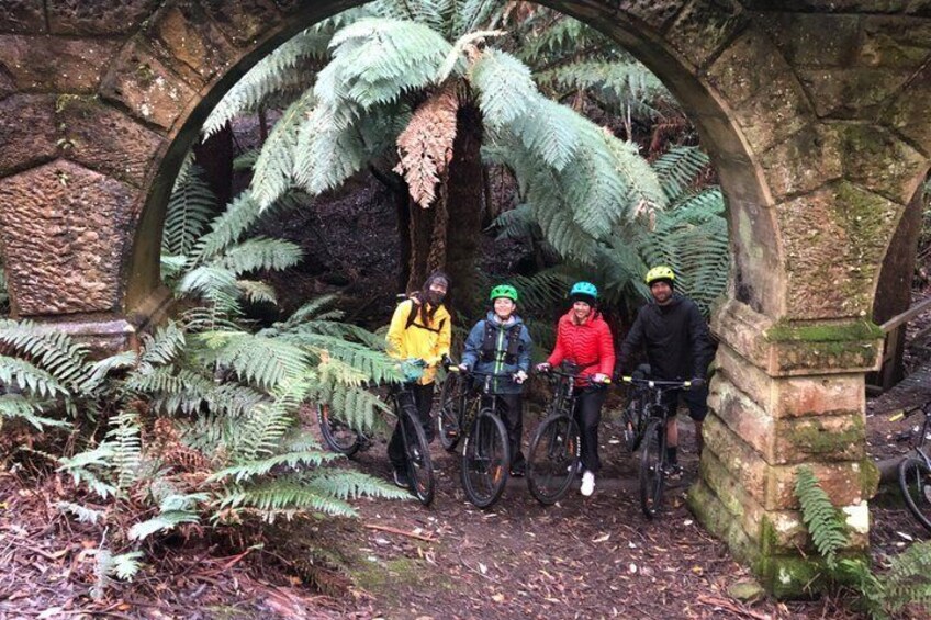 Four cyclists standing under a stone archway surrounded by ferns. 3