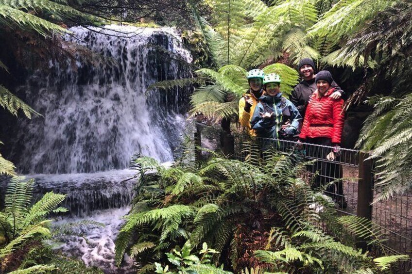 A waterfall surrounded by lush ferns and a group of people observing it. 4