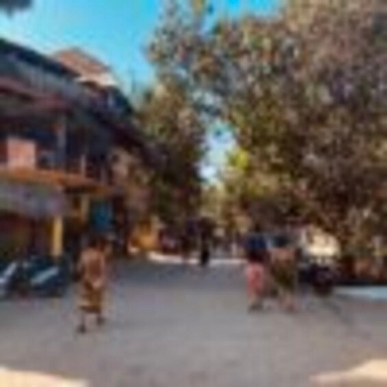 A street scene with buildings and trees. 2