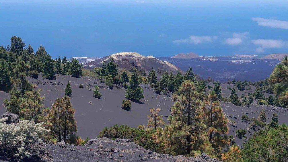 A volcanic landscape with scattered trees and distant mountains. 2