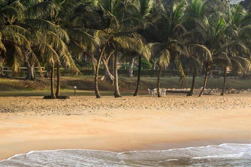 A sandy beach with palm trees and a few chairs. 1