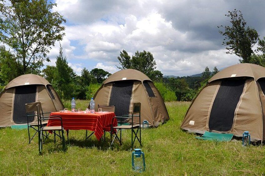 Three tents set up in a grassy field with a table and chairs in the foreground. 2