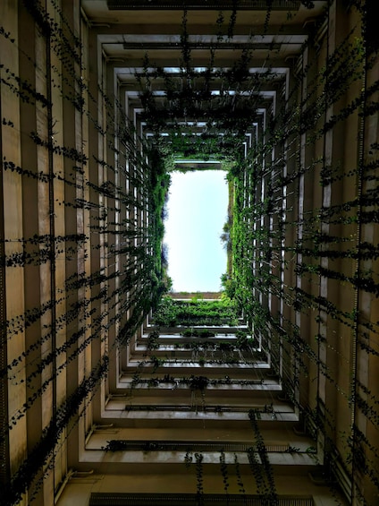 A corridor with a central open space framed by vertical greenery. 5