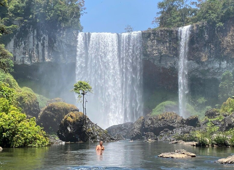 A waterfall, a person in water, and surrounding greenery. 1