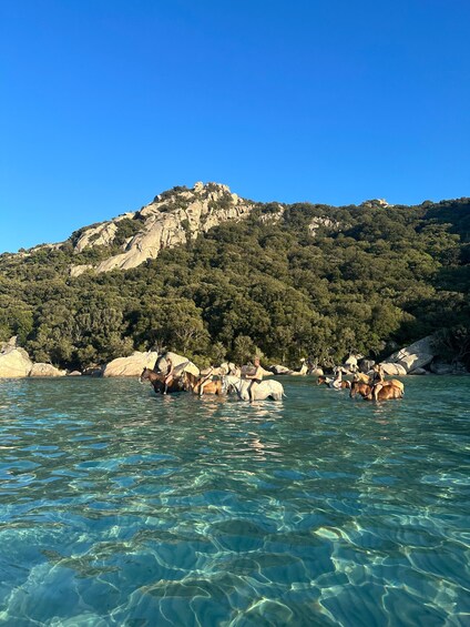 A clear blue sea with horses and riders near rocky shores. 3