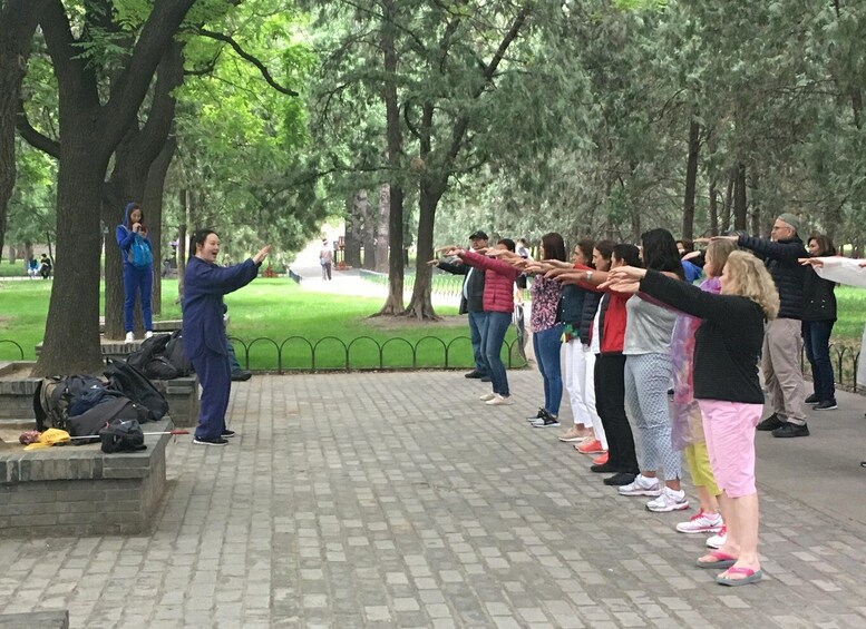 A group of people stretching outdoors in a park. 5