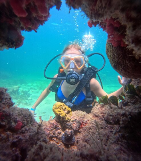 A diver underwater with a blue top, surrounded by coral and marine life. 2