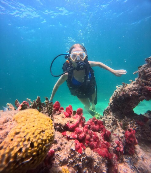 A diver exploring a vibrant coral reef with various colorful corals and marine life. 3