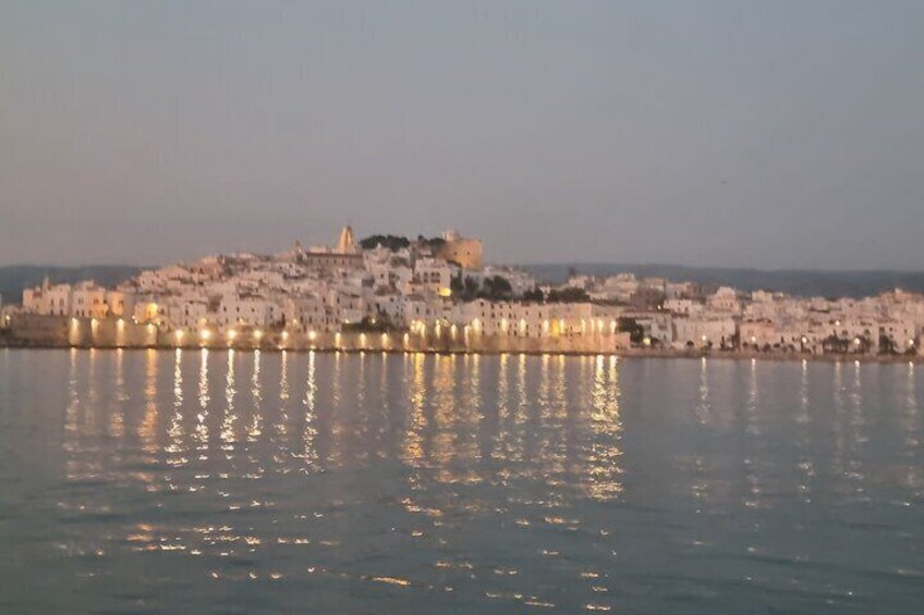 A coastal cityscape with a fortified hilltop and a waterfront reflecting lights. 4