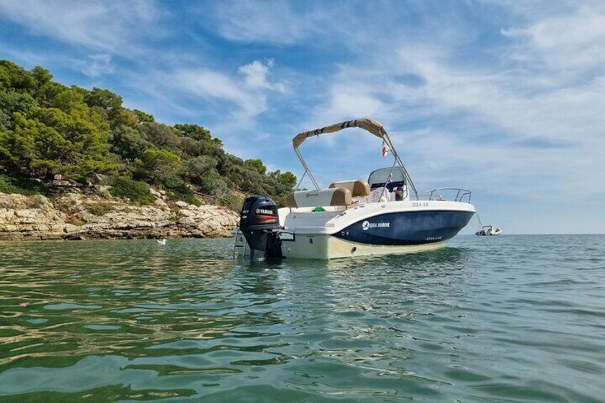 A boat anchored near a rocky shoreline with trees. 5