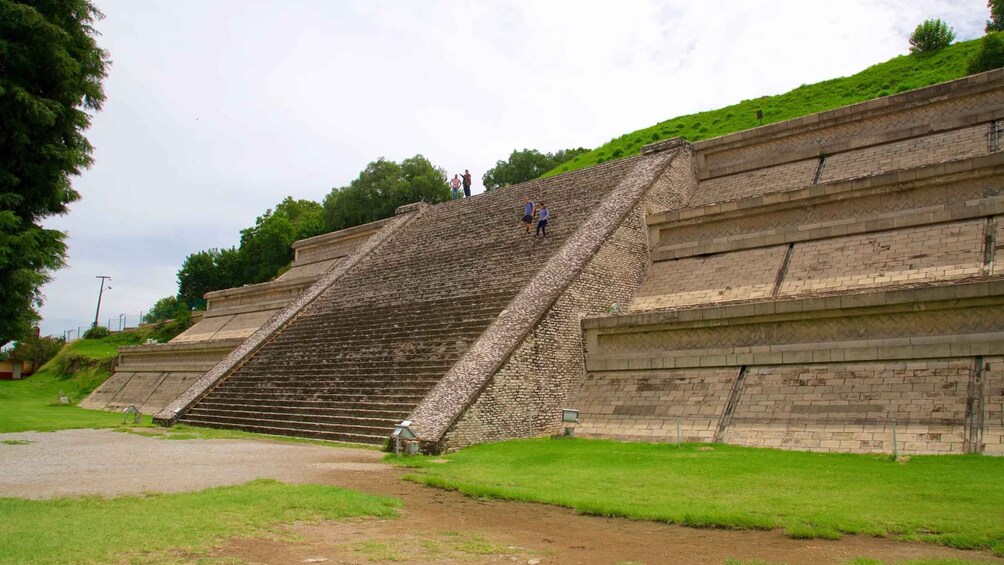 A large stone staircase leading up to a platform, surrounded by grassy areas and trees. 4
