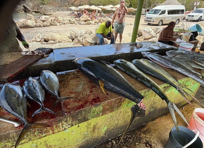 A fish market with large fish displayed on a wooden platform. 2