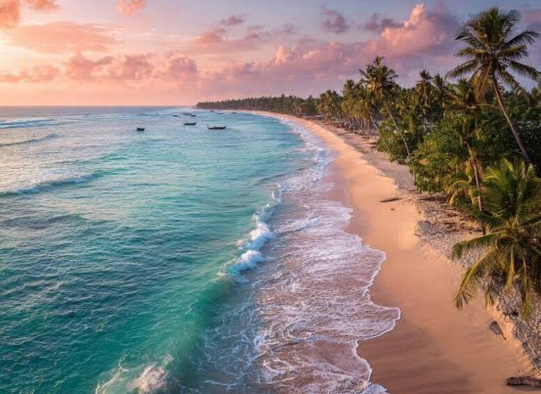 A beach with turquoise waters, palm trees, and boats. 1