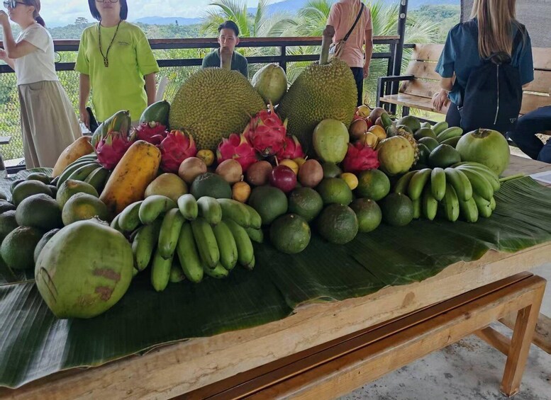 Ein Tisch mit verschiedenen tropischen Früchten, darunter Drachenfrucht, Durian und Bananen. 2