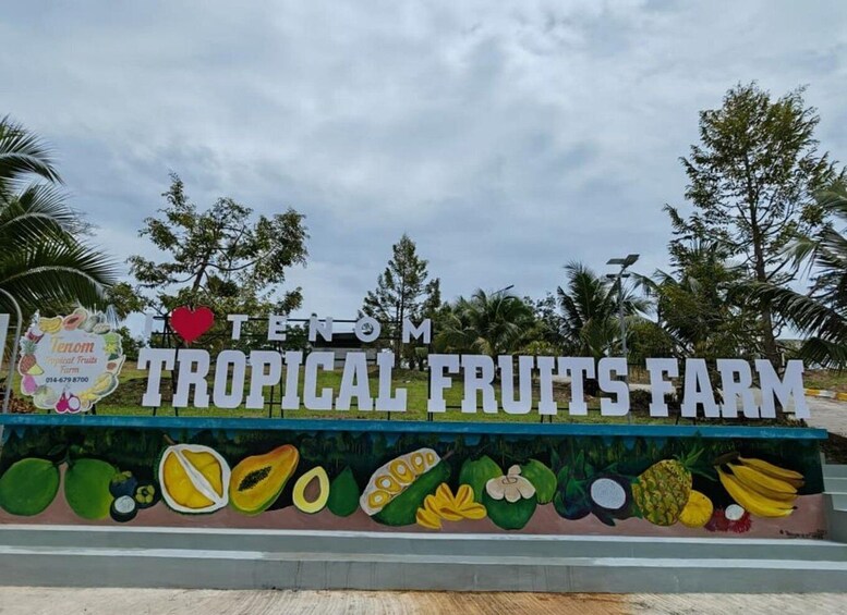 Schild für die Tenom Tropical Fruits Farm mit Illustrationen tropischer Früchte. 3