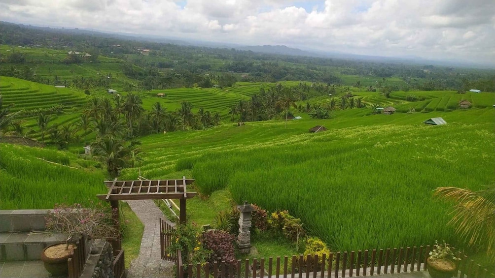 Terraced rice fields, a stone pathway, and scattered houses in a hilly landscape. 1