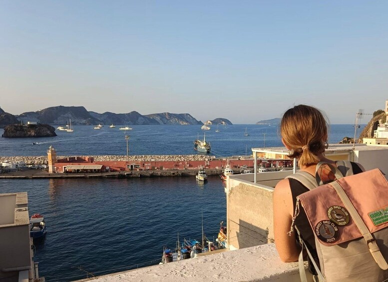 A coastal scene with a woman looking out over the water, a pier, boats, and rocky hills in the background. 2