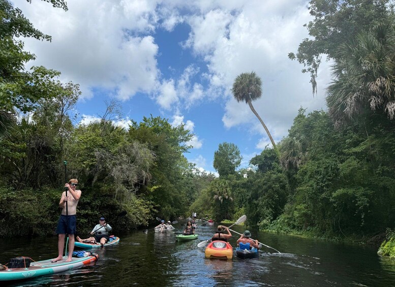 People kayaking on a river surrounded by dense greenery. 2