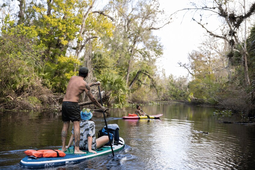 People on paddleboards in a river surrounded by trees. 3