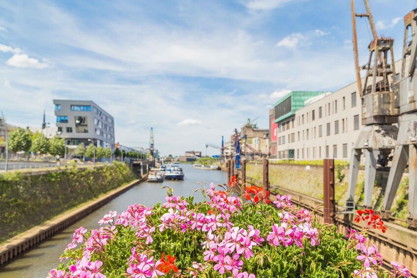 A canal with boats, industrial buildings, and flowering plants. 5