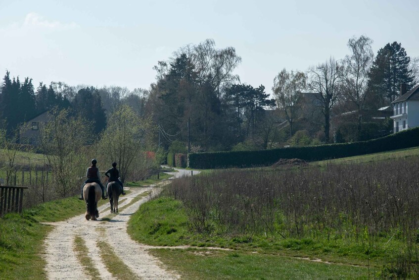A dirt path with two riders on horseback, surrounded by greenery and trees. 3