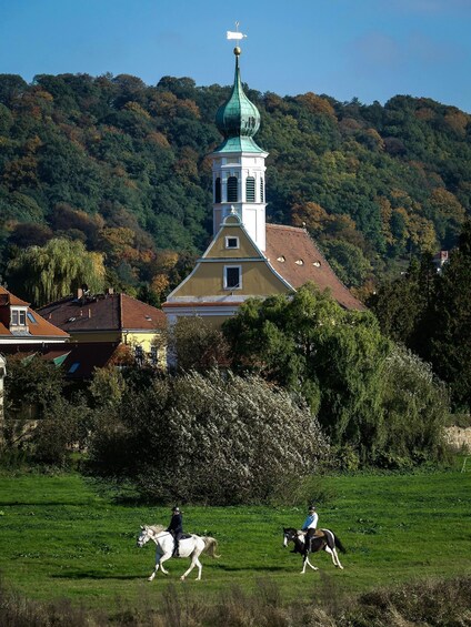 A church with a green dome and a tower, surrounded by a green field and trees. 2