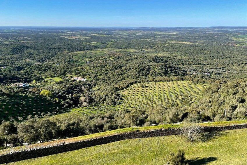 Alentejo: Arraiolos, Estremoz & Wine Tasting Experience 3