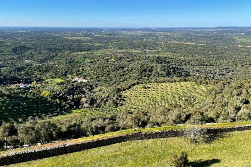 Alentejo: Arraiolos, Estremoz & Wine Tasting Experience 3