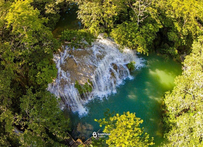 A waterfall surrounded by dense green foliage. 2