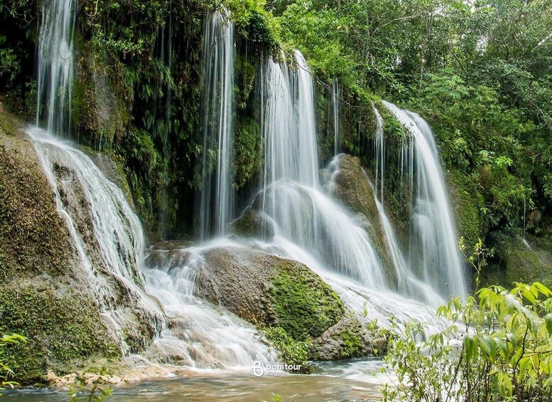 A multi-tiered waterfall surrounded by lush greenery. 3