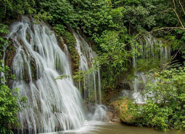 A waterfall surrounded by dense forest. 5