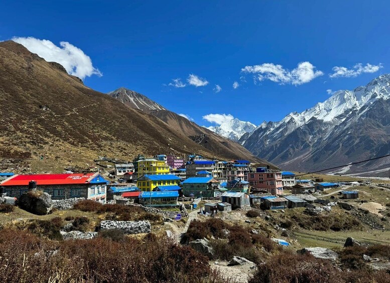 Picture 3 for Activity Kathmandu: Langtang Helicopter Tour with Mountain Views 2