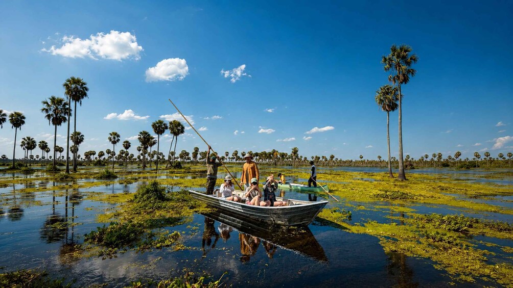A boat with people on a water body surrounded by palm trees. 2