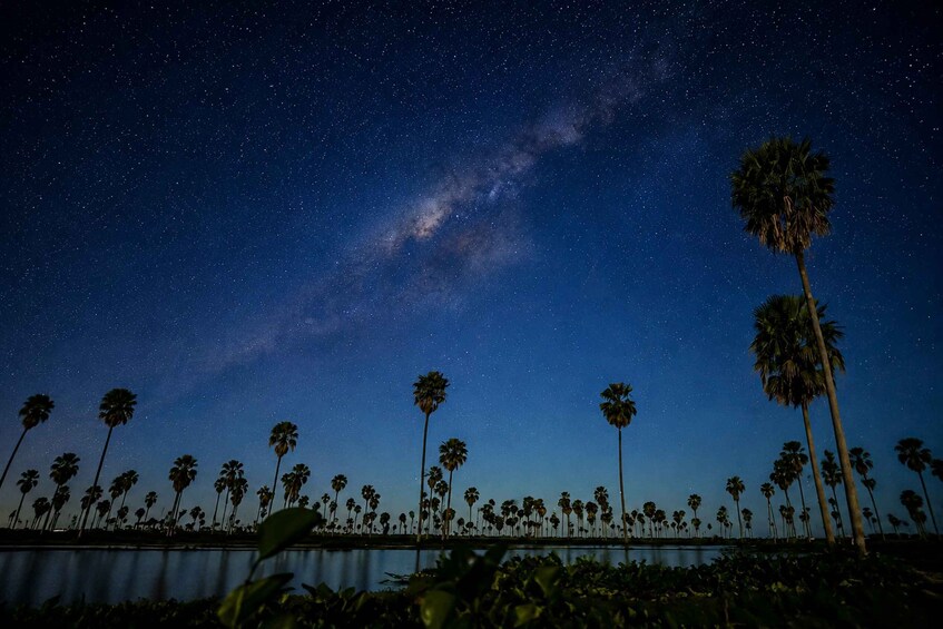 A night sky with stars and the Milky Way, palm trees, and a body of water. 3