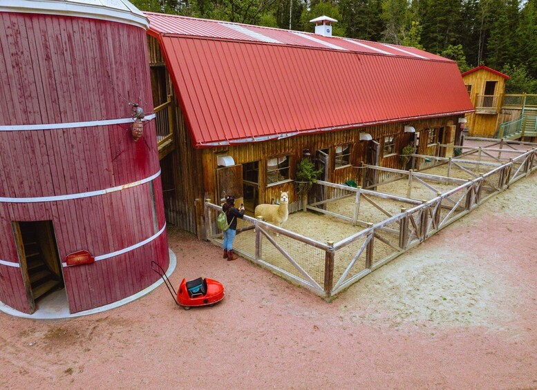A red barn with a fenced enclosure containing a llama. 5