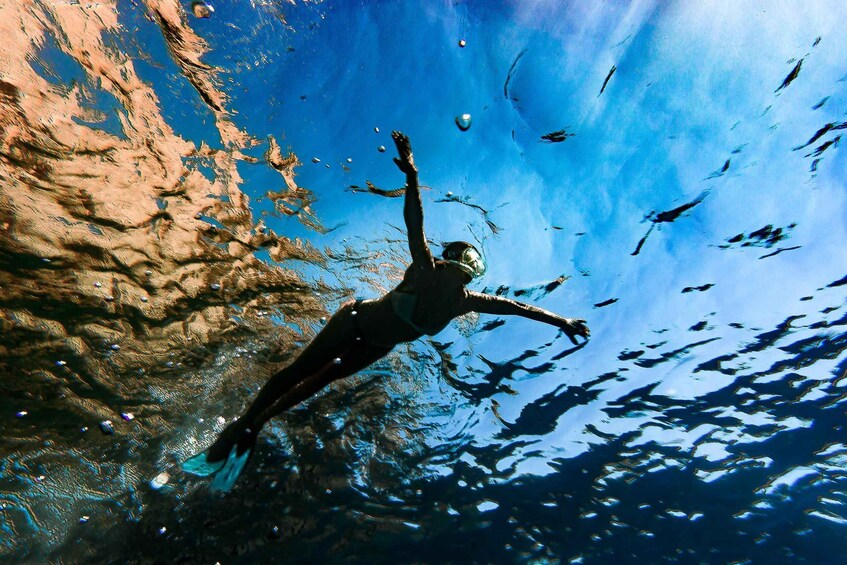 A person swimming underwater with a school of fish. 4