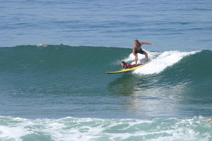 A person surfing on a wave with a dog on a yellow surfboard. 1